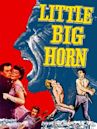 Little Big Horn (film)