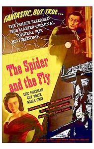 The Spider and the Fly