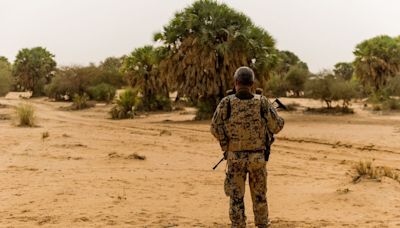 Mali Cuts Diplomatic Ties With Ukraine for Supporting Rebels