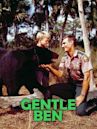 Gentle Ben