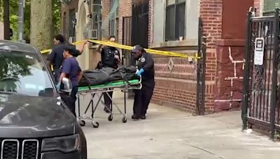 Mujer hispana y su pareja son hallados sin vida en el Bronx; investigan posible homicidio - suicidio