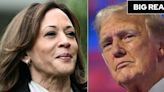 The seven battleground states Kamala Harris is targeting - and how she can win