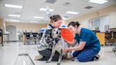 GBCC offers vet technician national exam prep course: Education news