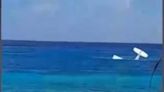 Avioneta se desploma en pleno mar de Cozumel; piloto sobrevive | El Universal