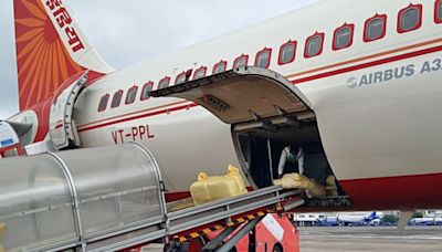 Red Sea Crisis: Air Cargo From India Doubles, Aims For 10 mn Tonnes By 2030