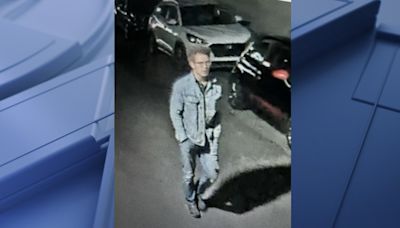 Man wanted for hitting random stranger with metal pipe in Ann Arbor