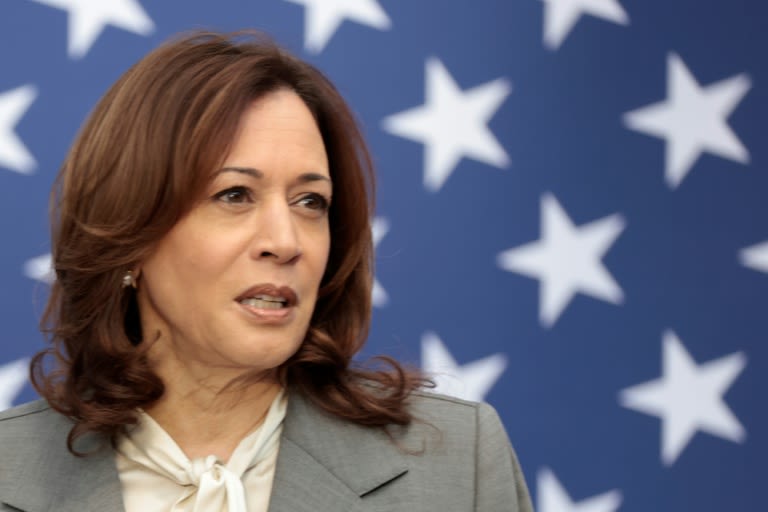 US VP Harris to attend Ukraine summit as Biden skips