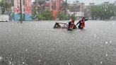 Lluvias intensas dejan calles inundadas y árboles caídos en Veracruz