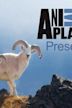 Animal Planet Presents