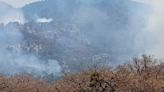 Conafor, Cofom y Conanp, atienden incendios en Zimpanio, Uruapan y Aquila