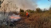 Início de estação seca tem alta de 1000% em fogo no Pantanal