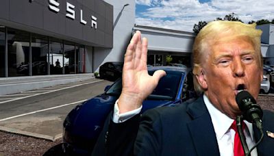 Tesla en NL en pausa: ¿Qué medidas propone Trump para autos eléctricos si gana elecciones?