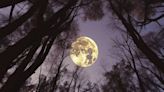 Superluna en México: ésta es la hora exacta para ver la luna en su máximo esplendor