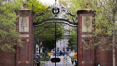 Harvard’s task forces on antisemitism and anti-Muslim bias urge the university to act soon