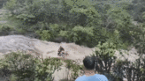 Cinco turistas da mesma família morrem após serem arrastados por cachoeira na Índia; vídeo