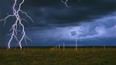 Why Walter De Maria's 'The Lightning Field' Remains a Striking Work of Land Art | Artnet News