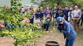 Hiroshima bombing recalled in Oregon "peace trees" campaign