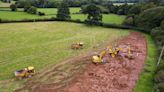 Major rewilding project in Somerset to restore ancient floodplain and boost biodiversity