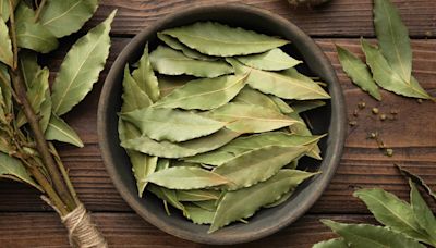 El infalible truco con laurel que ahuyenta a las hormigas en verano