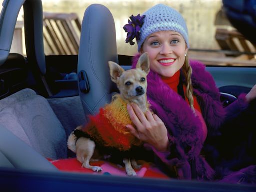 ‘Legally Blonde’ Prequel Series Sets Open Casting Call for Young Elle Woods