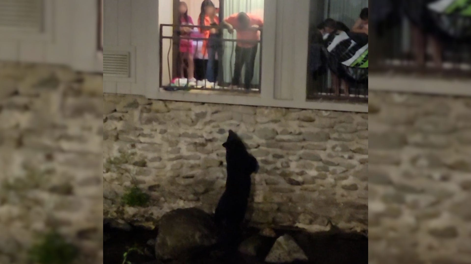 Video shows people feeding bears from balcony of Smoky Mountain lodge, violating law