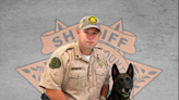 ‘Invaluable asset’: Florence County Sheriff’s Office K9 dies