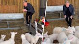Gordon Ramsay’s Video Appearing to Pick a Lamb to Slaughter Receives Backlash