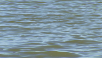 Search for 2 swimmers in Lake Ray Hubbard will resume Friday