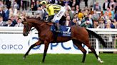 Ascot Gold Cup horse numbers 2024 - full list of runners and riders