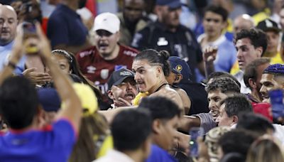 Watch: Uruguay soccer players fight Colombia fans in stands after Copa America loss