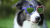 My Pet World: It’s OK to start planning for your pet’s 4th of July