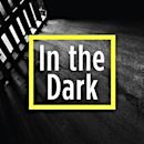 In the Dark (podcast)