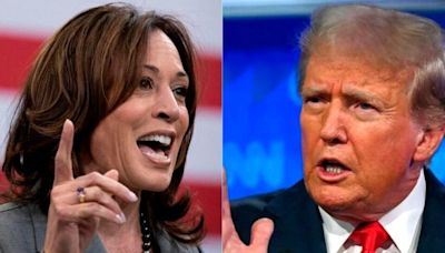 Elecciones en EEUU: Kamala Harris y Donald Trump, cabeza a cabeza en los estados clave