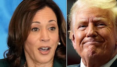 Kamala Harris' 5-Year-Old Warning About Trump Looks Even More Timely Today