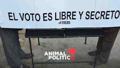 Alcaldes y diputados buscan la reelección o imponen a familiares en candidaturas locales en Guerrero