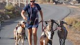 Pasear una cabra por Fuerteventura: el nuevo reclamo turístico que indigna a los animalistas