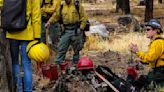 Kaibab National Forest plans for spring prescribed burns