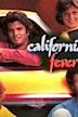 California Fever (TV series)