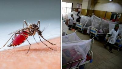 National Dengue Day; Signs, Symptoms, Precautions, Hospitals; WHO Prequalifies New Dengue Vaccine