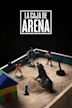 La caja de arena