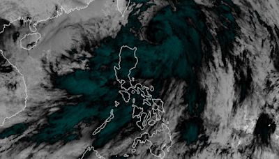 Signal No. 2 up as Typhoon Carina slightly intensifies