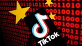 El código TikTok: guía para sintonizar con la plataforma más desafiante para las marcas