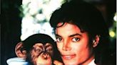 Bubbles: chimpanzé de Michael Jackson recebeu herança e vive em santuário de luxo