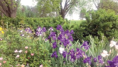 Spring garden party at Millmont in Wake will benefit MC Museum • SSentinel.com