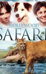 Hollywood Safari