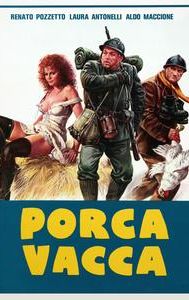 Porca vacca