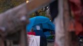 Baby born in Hamilton encampment shows extent of 'desperate' housing crisis, councillor says