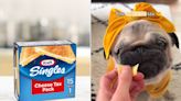 Kraft Singles Is Giving Out 'Cheese Tax Packs' for Dog Owners Inspired by the Viral TikTok Song