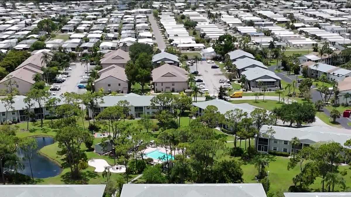 More insurance options becoming available for Florida homeowners