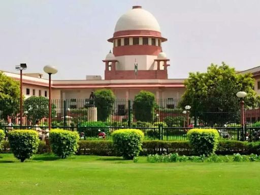 Supreme Court stays Madras HC order for valuation of LVB equity shares | India News - Times of India